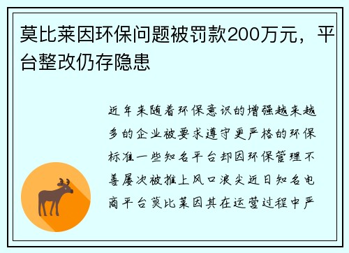 莫比莱因环保问题被罚款200万元，平台整改仍存隐患