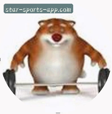 大鹏