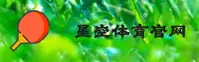 星空体育APP在哪下载？获取官方正版安装包